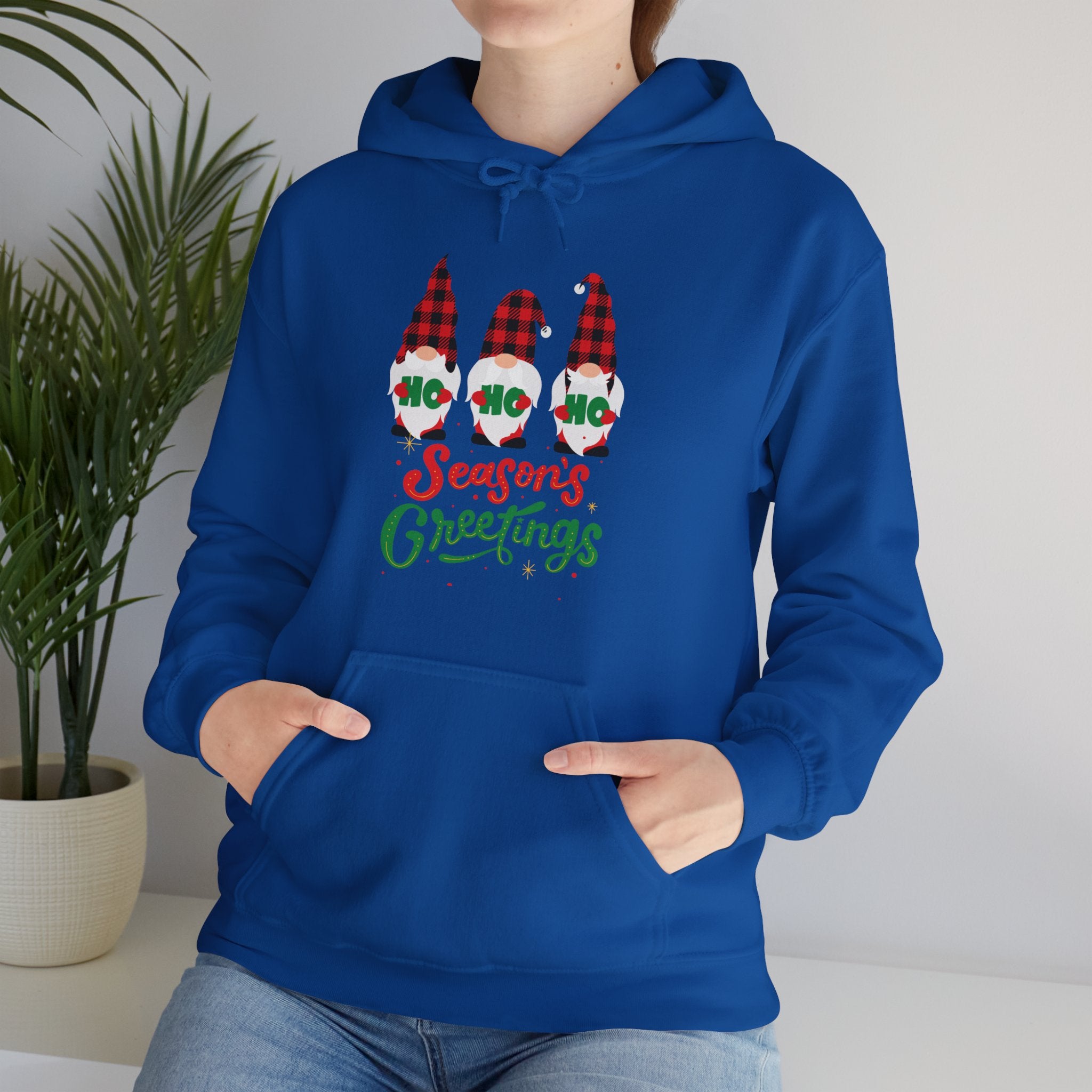 Greetings Hooded Sweatshirt – Season Tee Haven